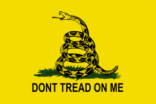 Mid size Dont tread on me  flag